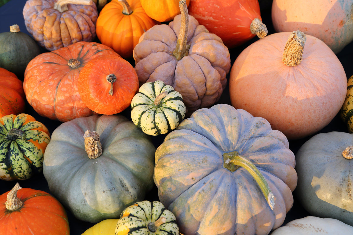 October Zone 9 Checklist